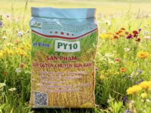 Bao bì PY10