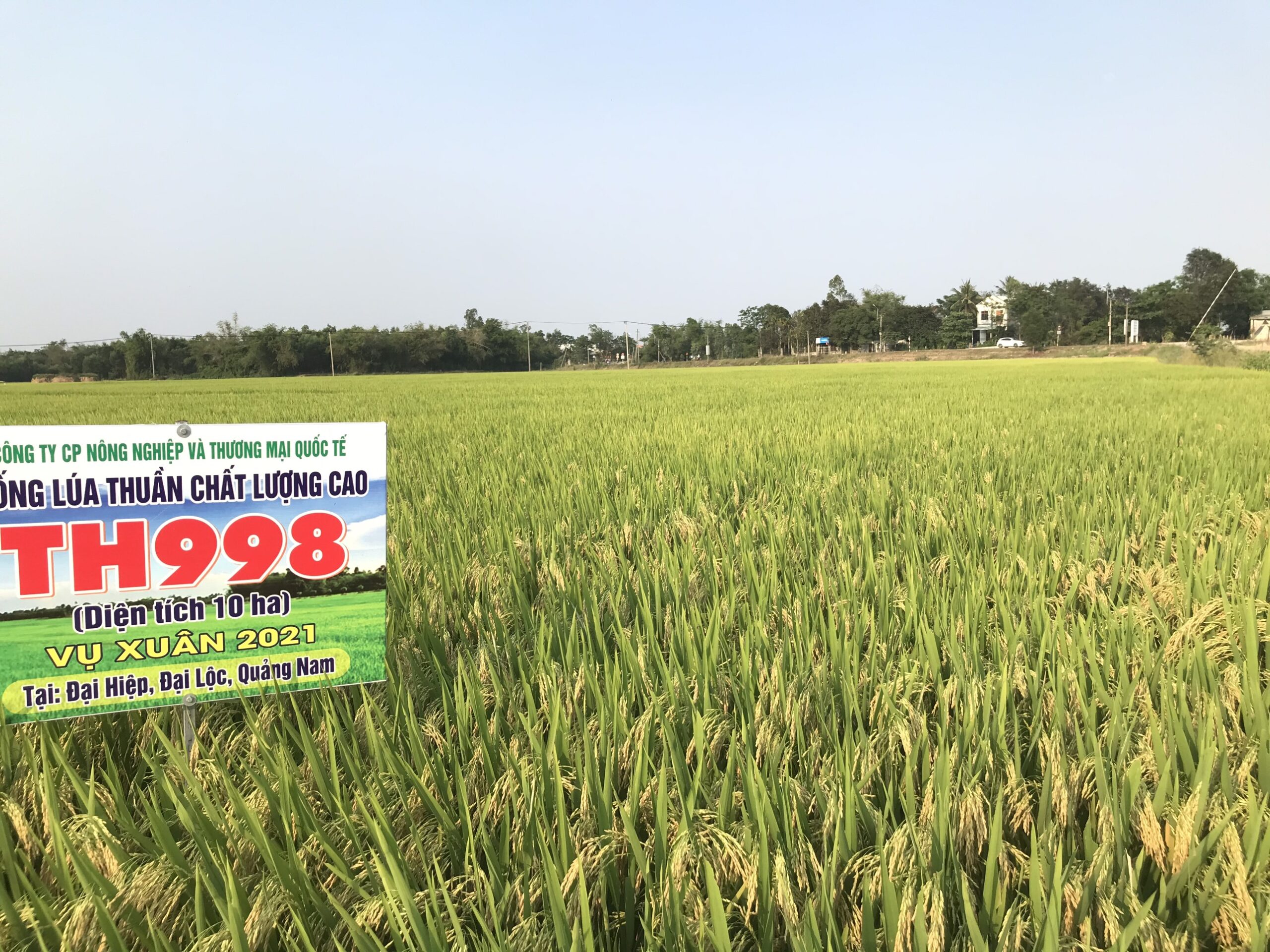 z2452636718785_b63ac5c5ce13064a9c2d0dc61ca212ac TH 998 3