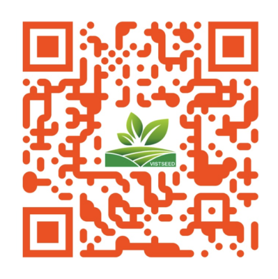 Mã QR vị trí công ty